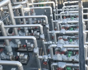 İstanbul Vana Ceketi