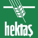 hektaş